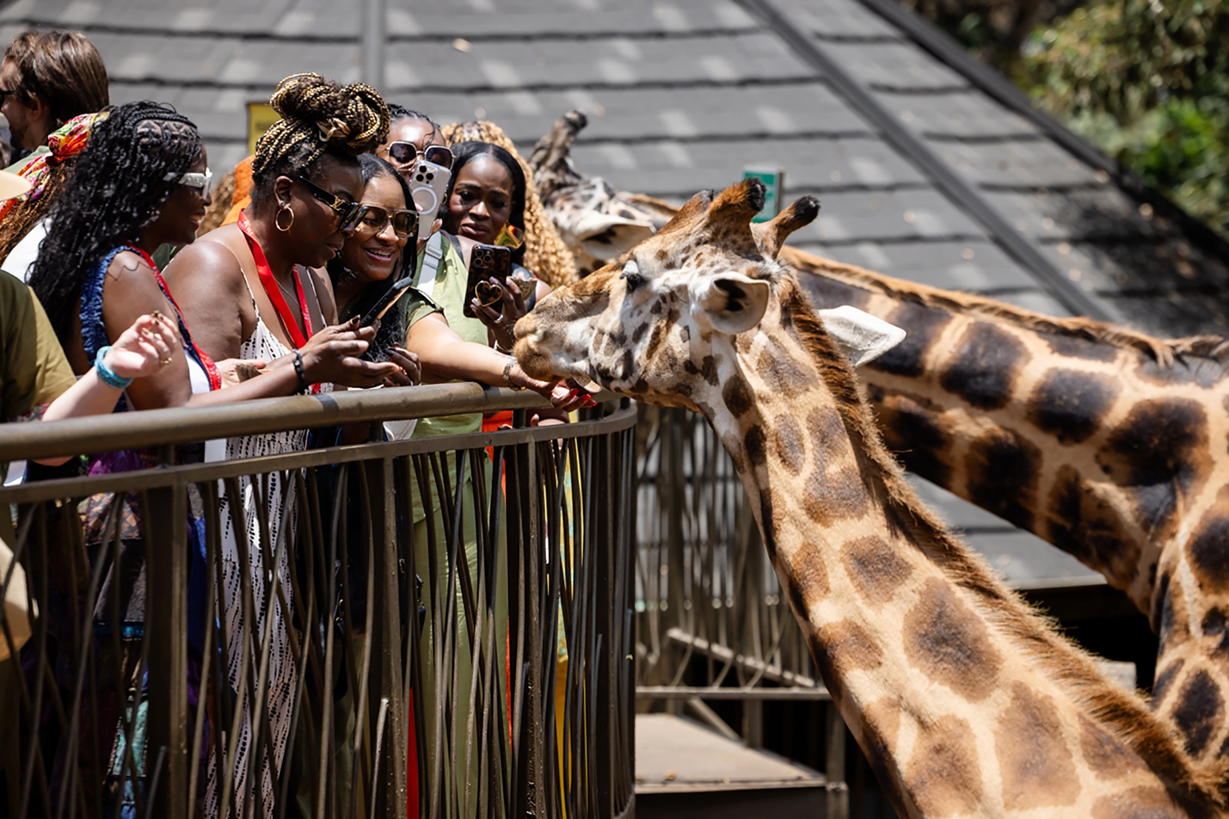 lsf-kenya-tanzania-new6